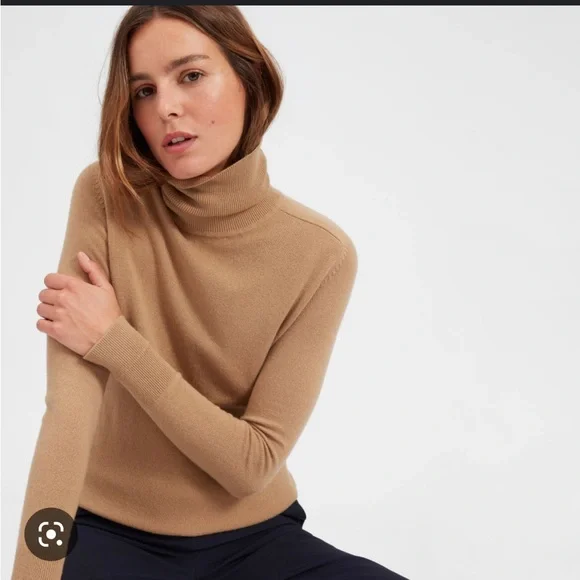 Everlane Sweaters Everlane The Cashmere Turtleneck Sweater